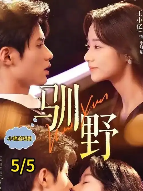 爱迪影视app档案图，困境者型角色在办公室深夜独处